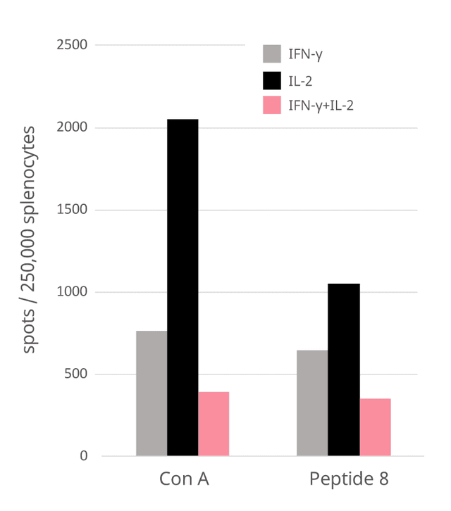 RSV graph