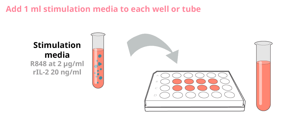 Addition of IL-2 and R848 to stimulate memory B cells to produce antibodies