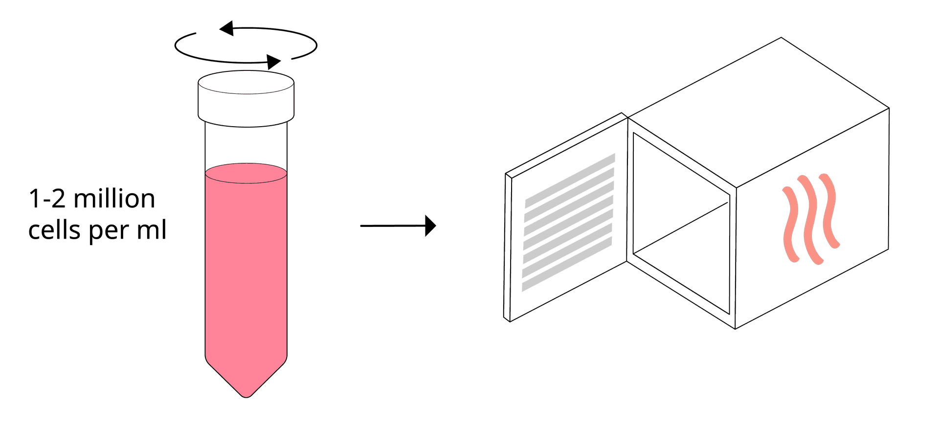 Resting cells