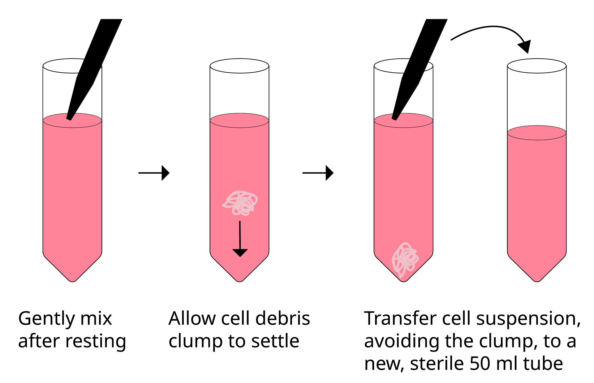 Resting cells 3