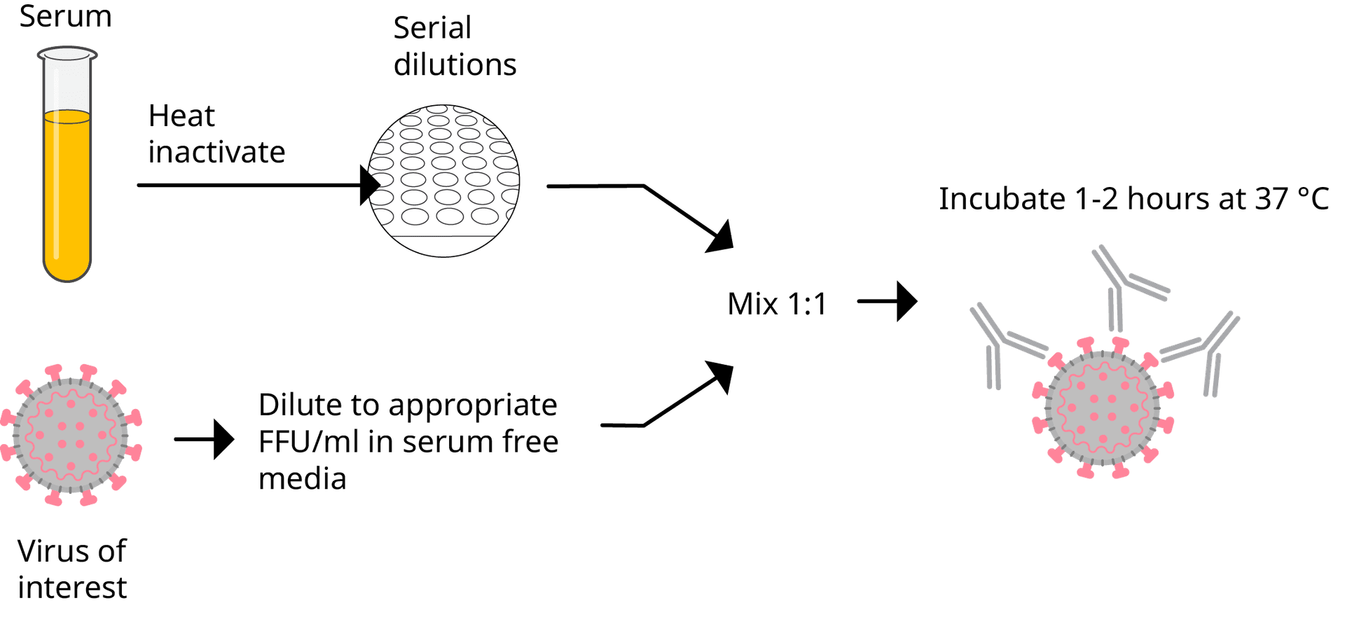 FociSpot step 1