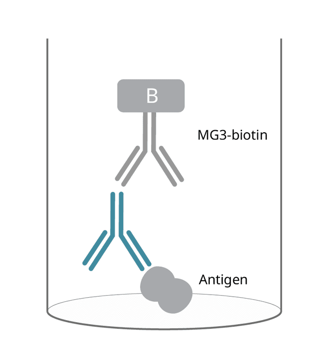 Ag-specific mouse igG3