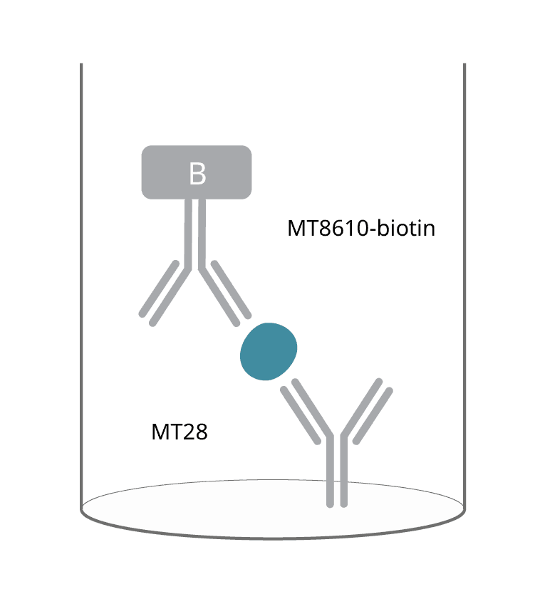 Granzyme B mAb pair ELISpot