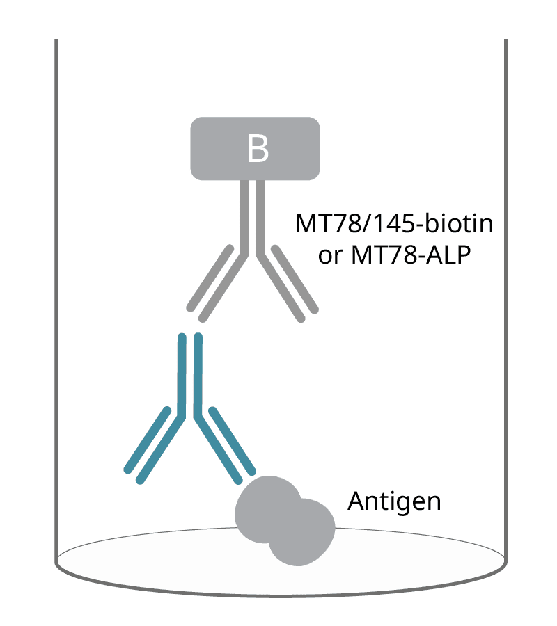 elisa igg 1