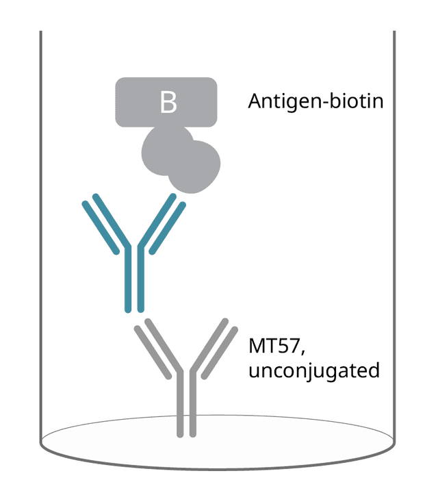 human iga 2