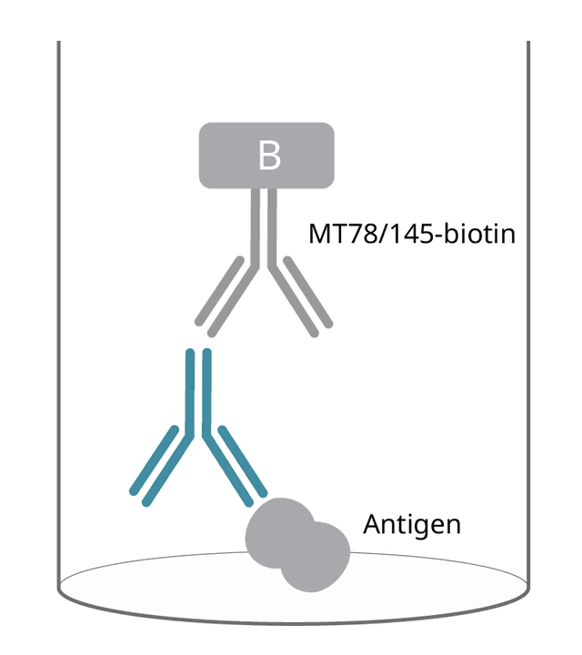 elispot human igg 1