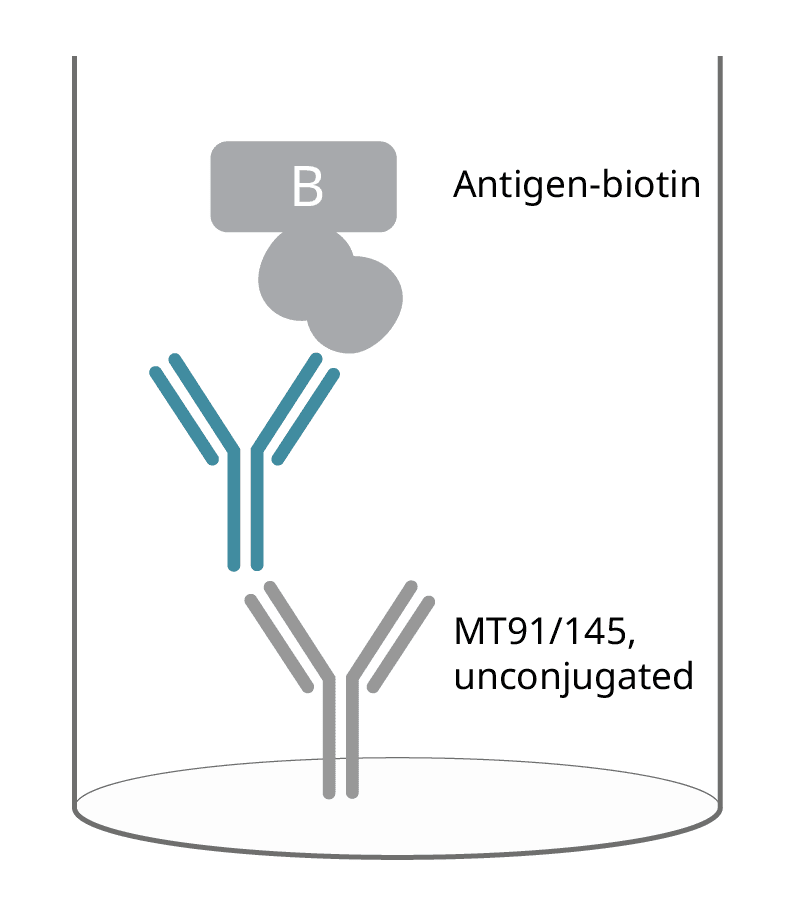 elispot human igg 2