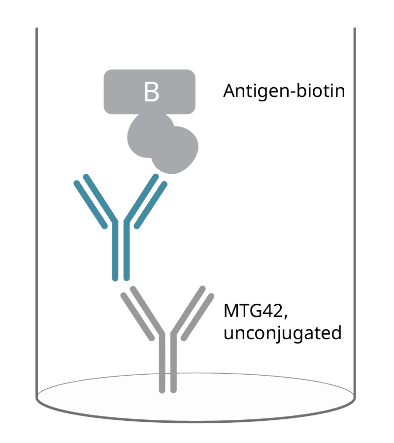 human igg4 2