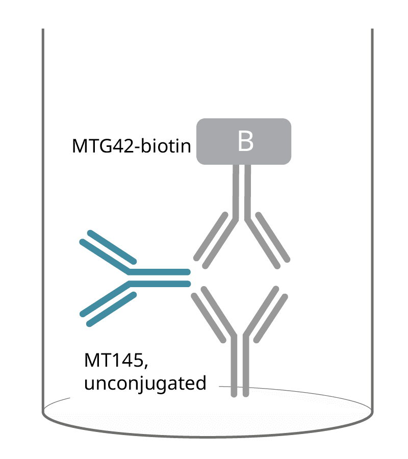 human igg4 3