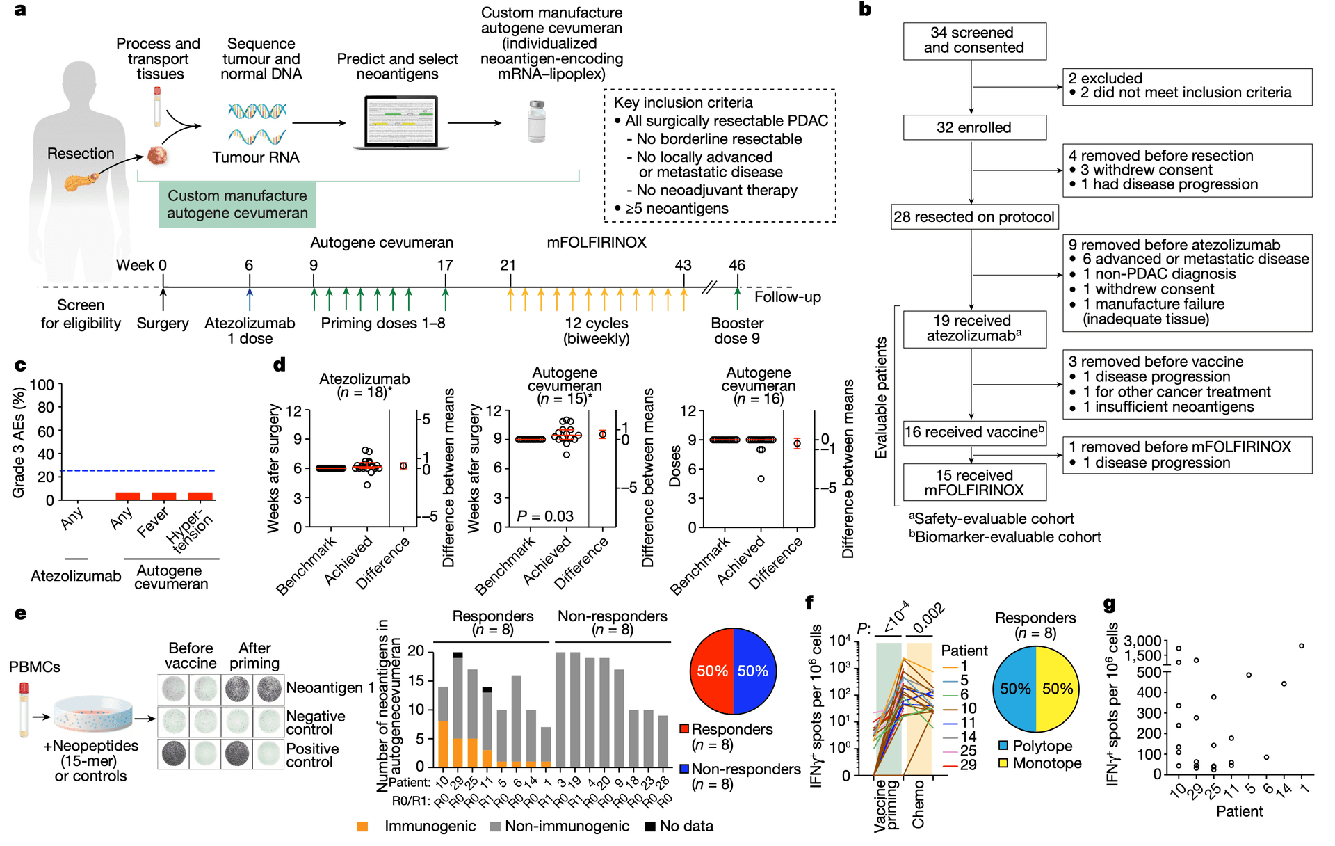 Nature Figure 1 neoantigen vaccine study design