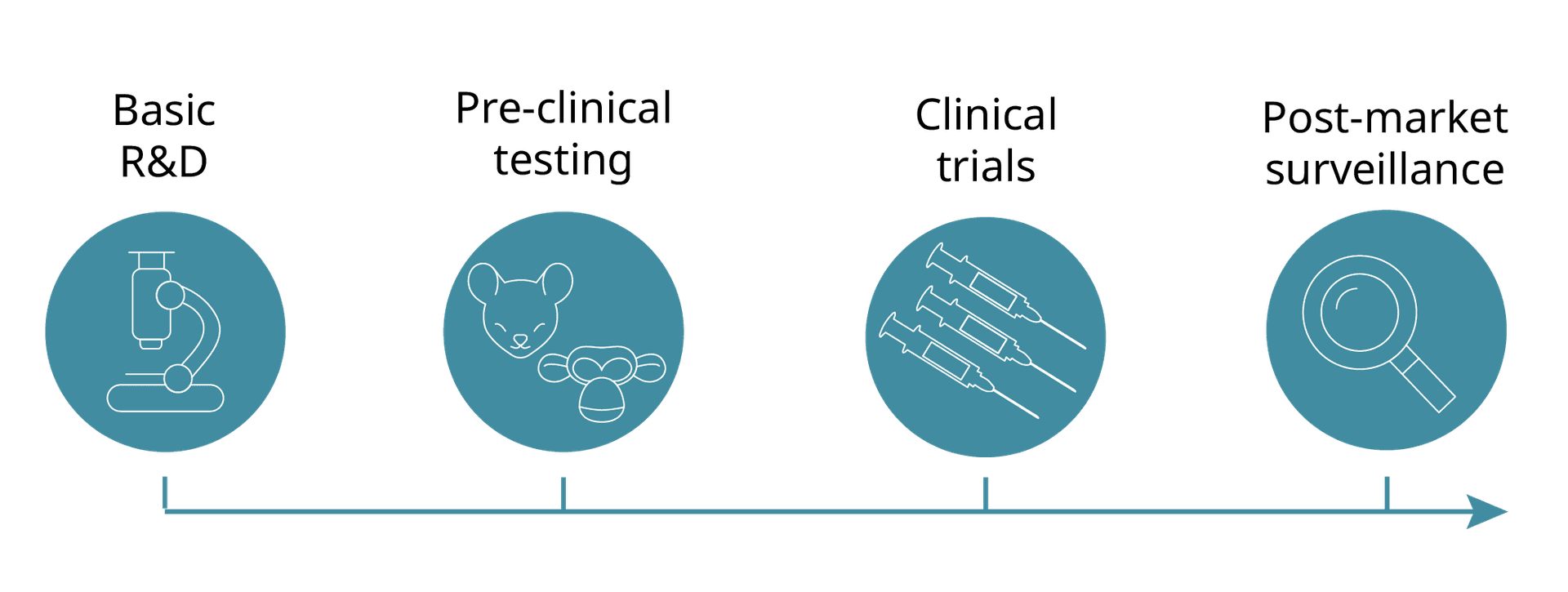 Illustration of steps where ELISpot can be used in vaccine development