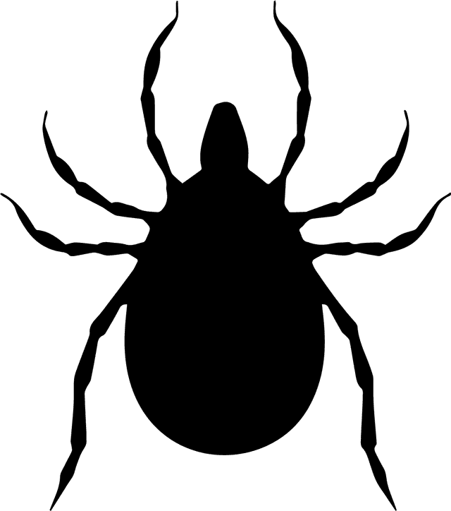 TBE is caused by a tick-bite