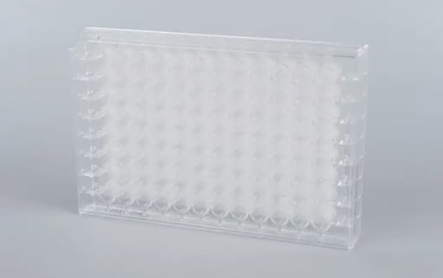 MSIP ELISpot plate in clear format