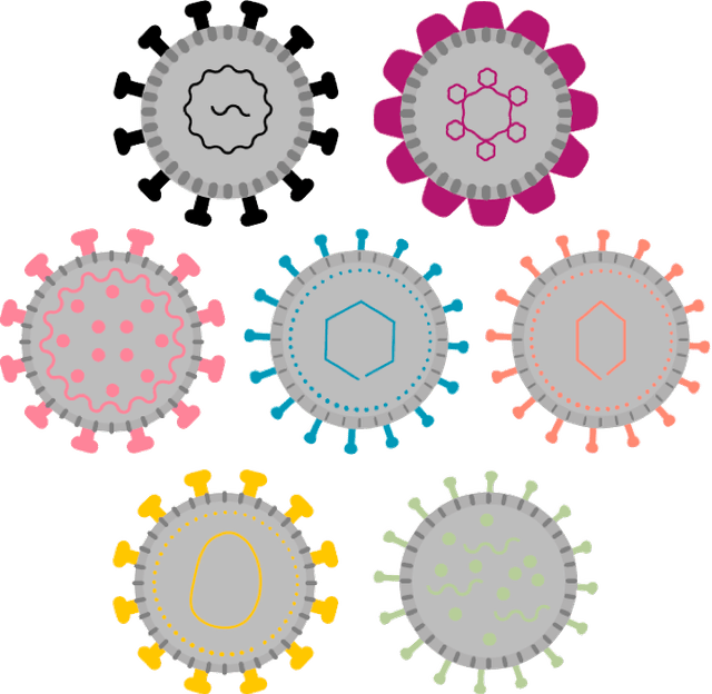 Arrangement of viruses included in the new peptide pool