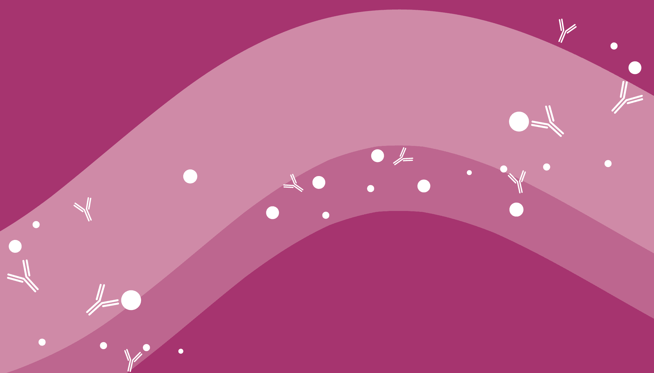 Blog header image
