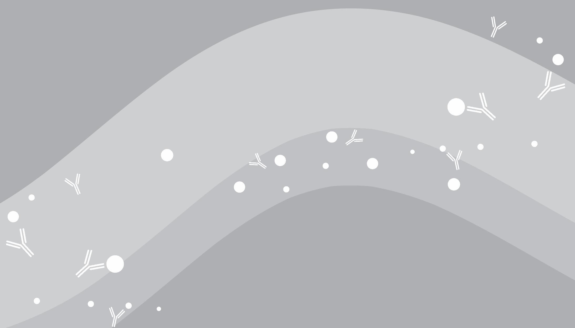 Blog header image