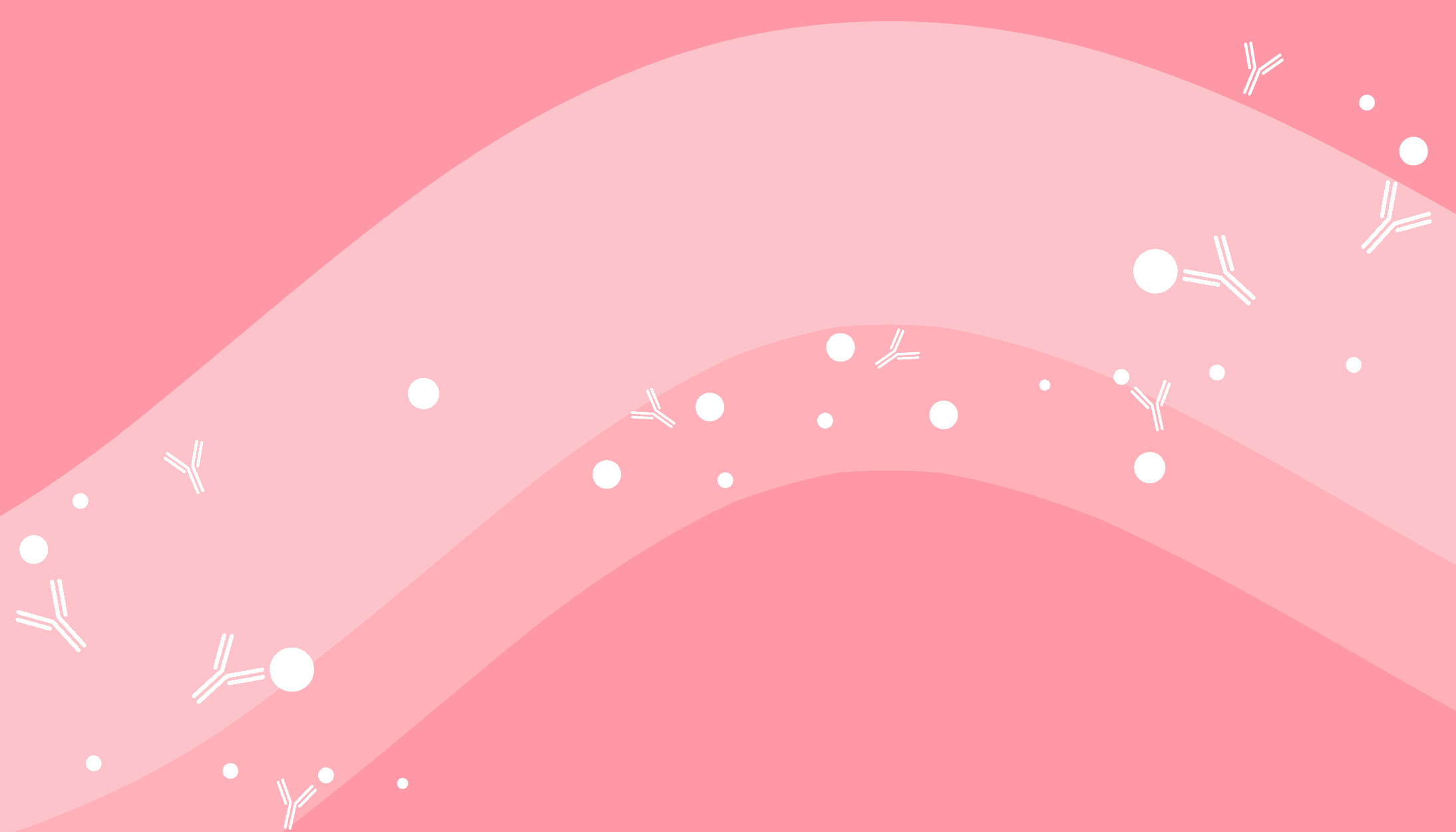 Blog header image