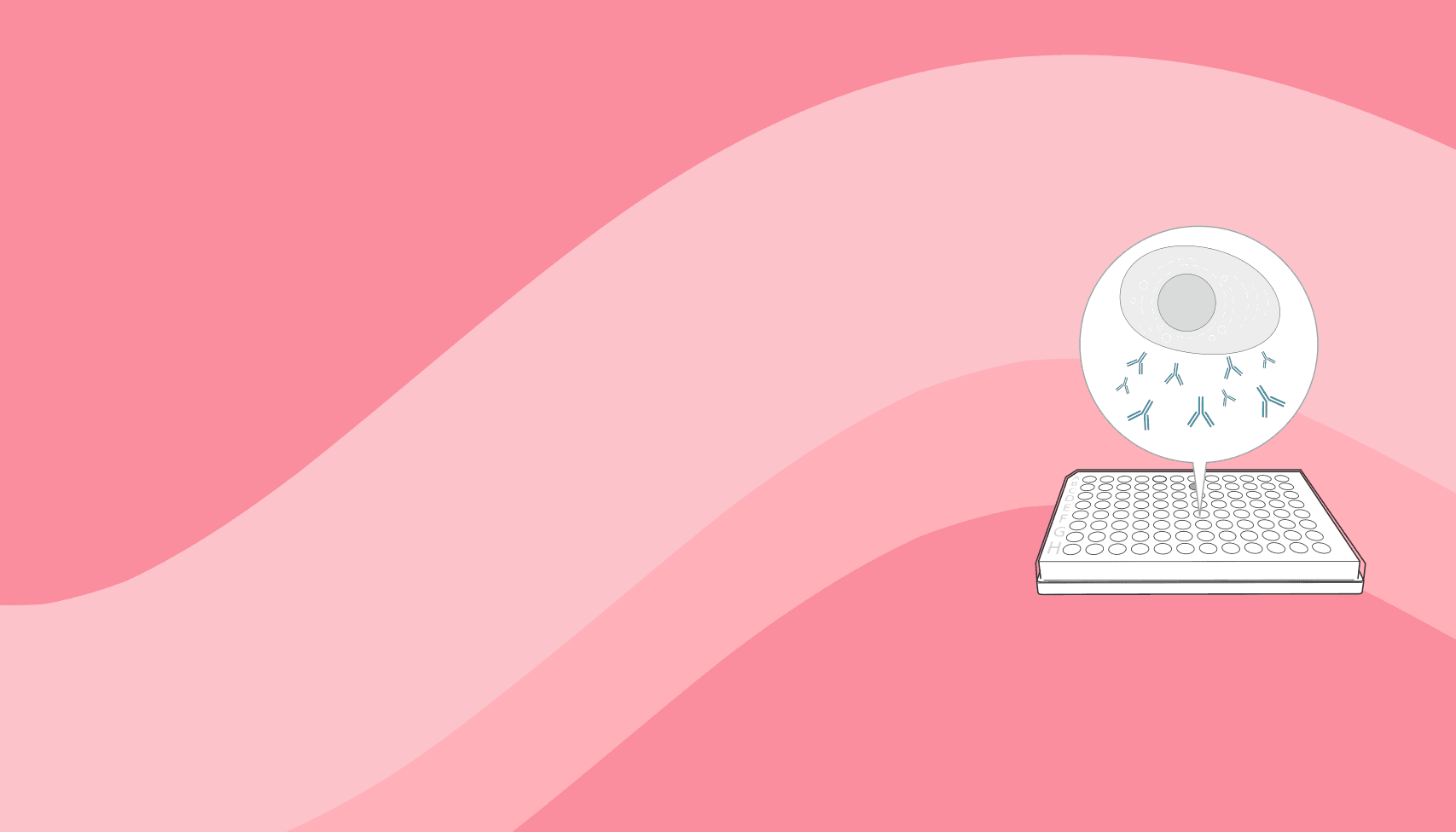 Blog header image