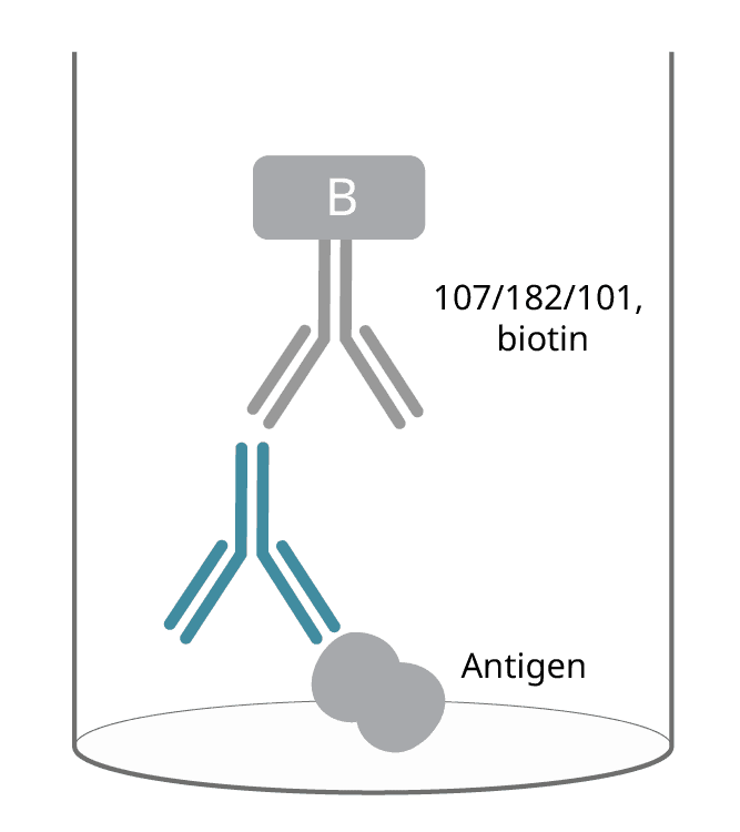 Click to enlarge IgE Ag