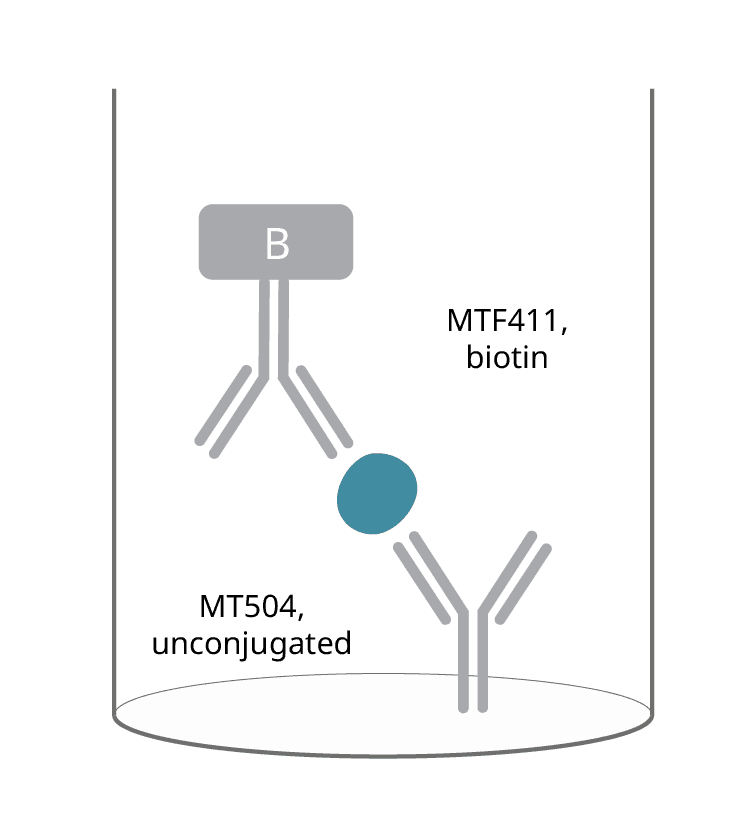 Click to enlarge ELISA IL-17A/F