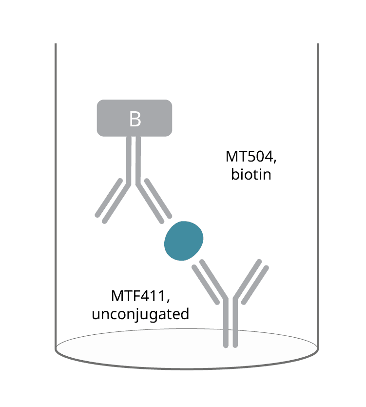 Click to enlarge IL-17A/F ELISpot