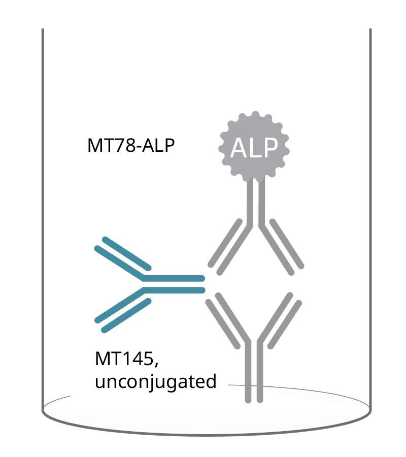 Click to enlarge elisa igg 2