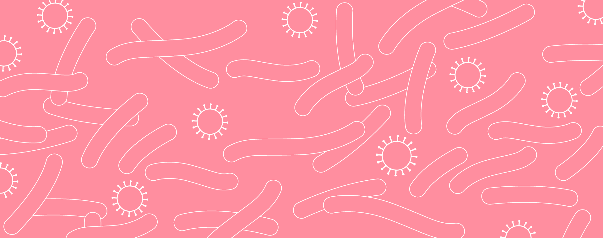 Blog header image