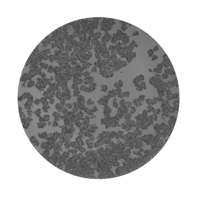 Click to enlarge Overlapping Foci in FociSpot assay - FFA - exclusion in data analysis