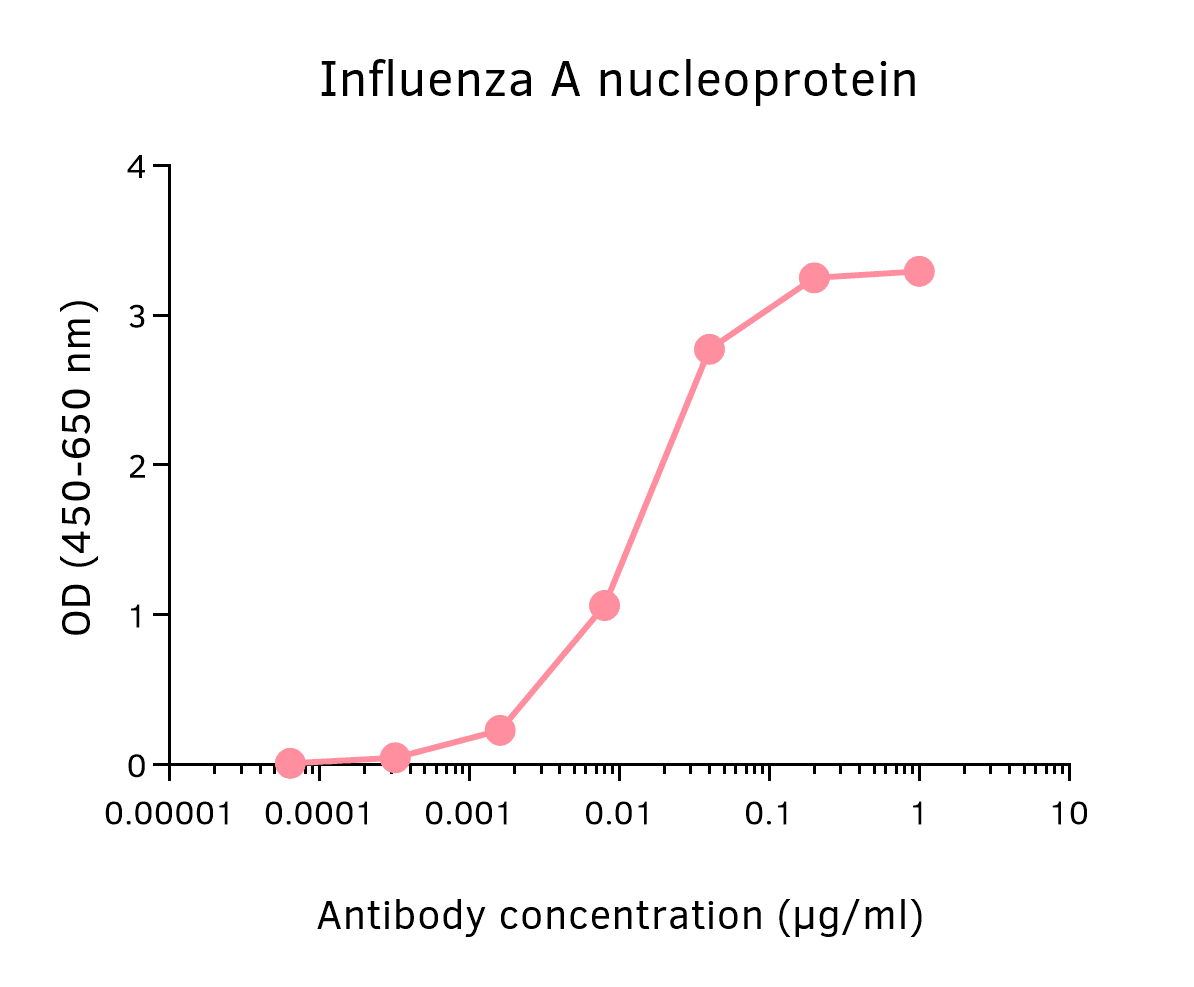 Detection of influenza A nucleoprotein in indirect ELISA. An ELISA plate was coated with recombinant influenza A nucleoprotein. A dilution of anti-influenza A (NP) mAb 19C10 (biotinylated) was added and the plate was developed using Streptavidin-HRP and TMB substrate.